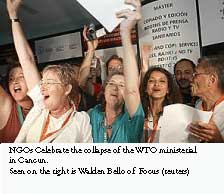 wto collapse