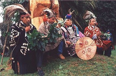 http://www.nadir.org/nadir/initiativ/agp/free/imf/indigenas/mapuche.jpg