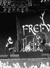 »Frei.Wild«: Zwischen Kitsch und Subkultur »Frei.Wild«: Zwischen Kitsch und Subkultur
