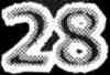28
