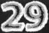 29
