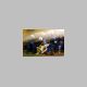 007901_7.jff.html