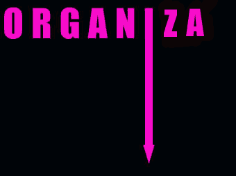 ORGANIZA