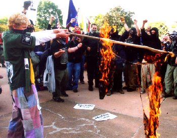 burning US flag