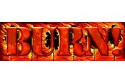 The BURN! website on tierra.ucsd.edu.