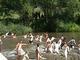 Crossing the River Neisse